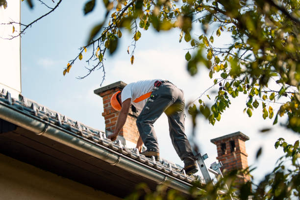 Quick and Trustworthy Emergency Roof Repair Services in Bridgeport, IL